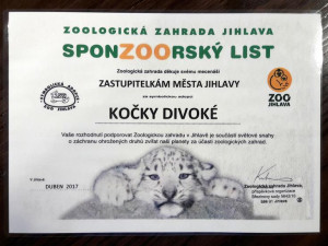 Jihlavské zastupitelky se také letos staly adoptivními rodiči kočky divoké v jihlavské zoo