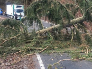 Hasiči na Vysočině odstraňovali ze silnic spadlé stromy. Uvízl mezi nimi také autobus