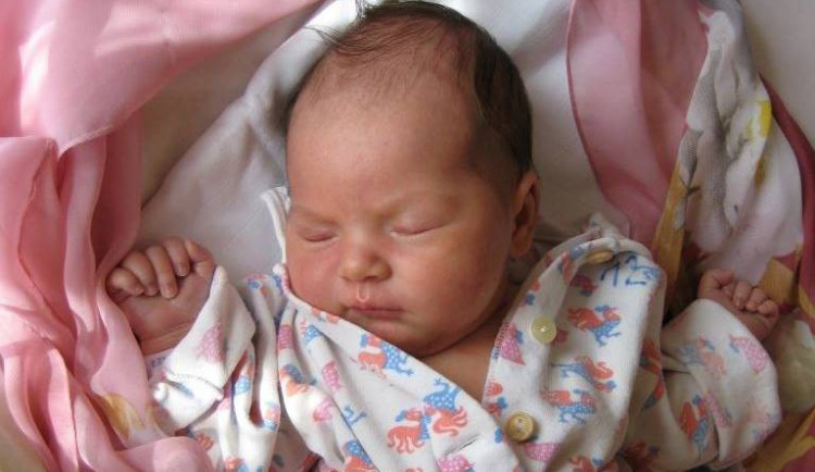 Porodnice v Havlíčkově Brodě bude v květnu na dva týdny uzavřena. Chystá se rekonstrukce