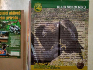 ihlavskou radnici zdobí téměř pět set trofejí zvěře. K vidění je obří kňour nebo kamzík