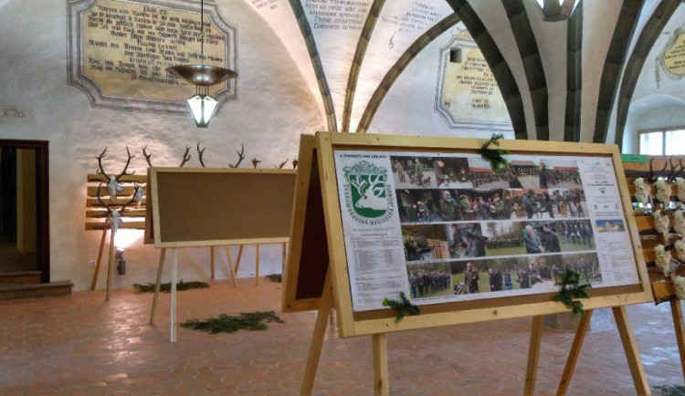 Jihlavskou radnici zdobí téměř pět set trofejí zvěře. K vidění je obří kňour nebo kamzík