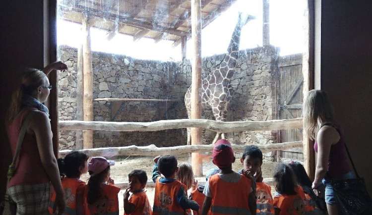 Děti z Klubíčka pozorovaly ptáky a zúčastnily se soutěže v jihlavské zoologické zahradě