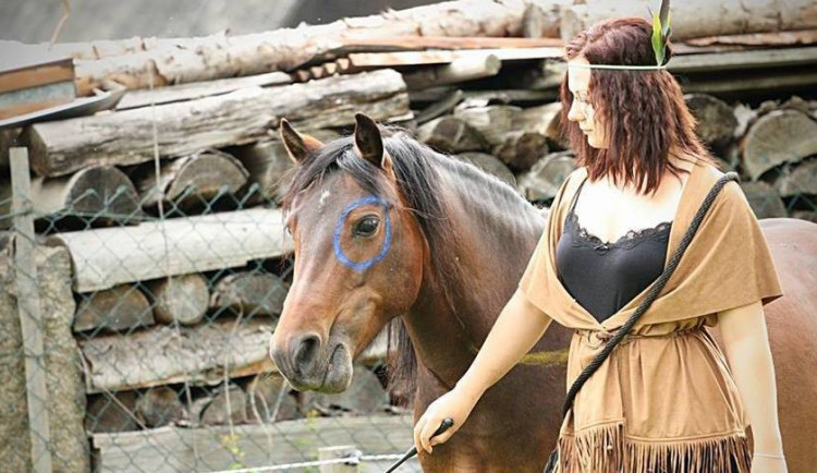 V Rohozné se opět bude pomáhat koním v nouzi. Letošním tématem vystoupení je muzikál