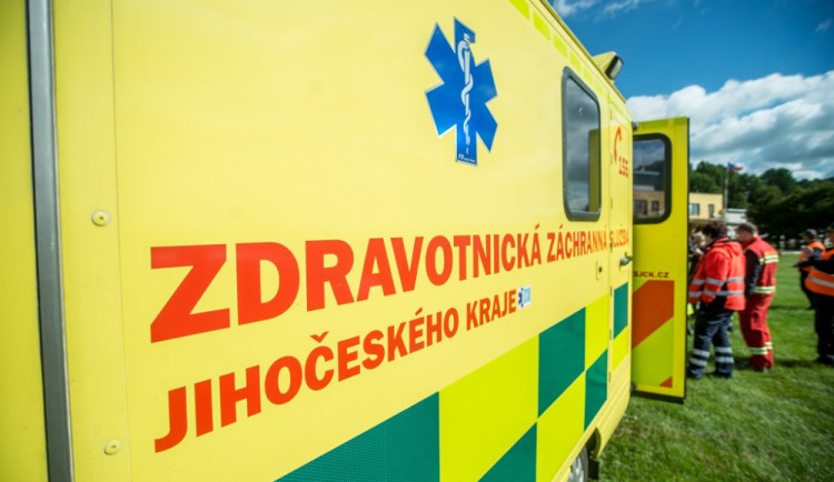 Na děti ze školky na Dačicku spadl při vycházce strom. Pět jich zranil, z toho dvě velmi vážně
