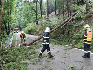 Silný vítr na Vysočině v bouřkách v noci lámal stromy. Hasiči měli do rána 25 výjezdů