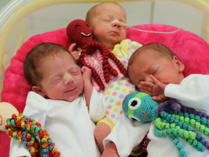 Jihlavská nemocnice se po pěti letech stará o trojčata. Holčičky se mají čile k světu