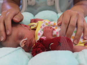 Jihlavská nemocnice se po pěti letech stará o trojčata. Holčičky se mají čile k světu