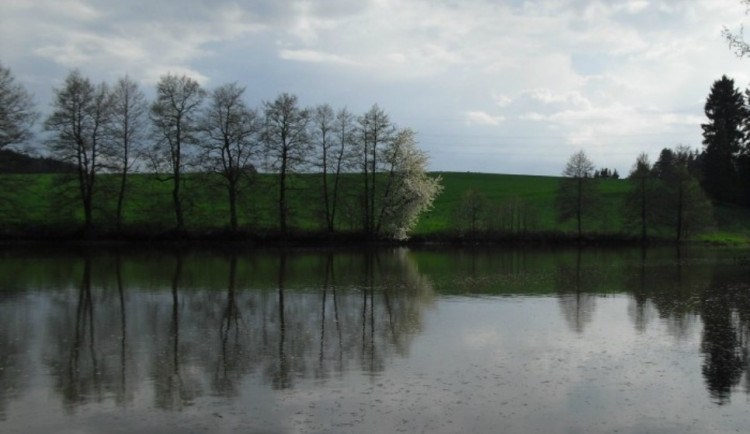 Rybník Ředkovec