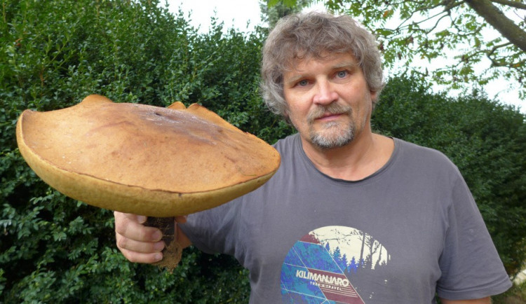 Zdeněk Rafaj z Humpolce našel rekordního křemenáče. Obvod klobouku je téměř jeden metr