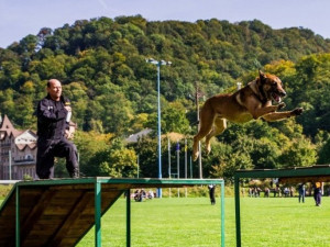 FOTO: Policejní psovod z Vysočiny dovezl z mistrovství na Ukrajině první místo