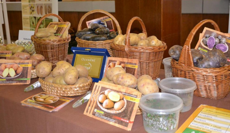 Bramborářské dny 2017