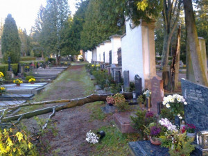 Jihlavský ústřední hřbitov je po řádění silného větru pro návštěvníky opět otevřený