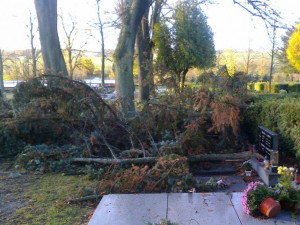 Jihlavský ústřední hřbitov je po řádění silného větru pro návštěvníky opět otevřený