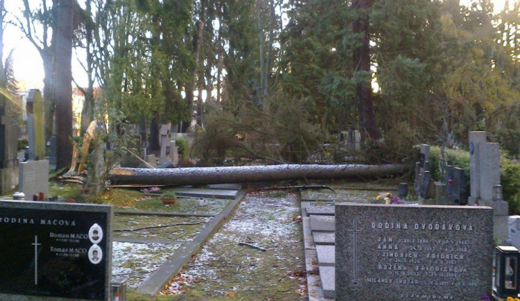 Jihlavský ústřední hřbitov je po řádění silného větru pro návštěvníky opět otevřený