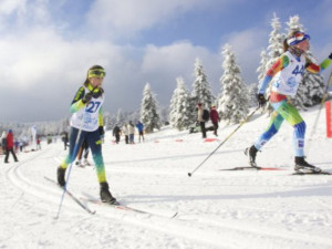 Na Zimní olympiádě dětí a mládeže bude Vysočinu reprezentovat skoro sto sportovců