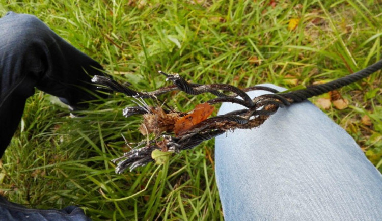 Lano krátce po prasknutí