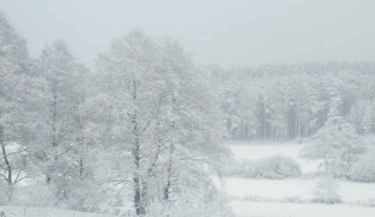 FOTO: Sníh dorazil na Vysočinu. "První" zimní den pohledem čtenářů Jihlavské Drbny