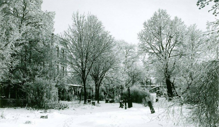 DRBNA HISTORIČKA: Starý jihlavský hřbitov stával nad dnešním zimákem ve Smetanových sadech
