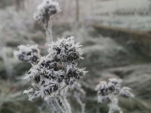 Na Vysočině v noci přituhlo. Nejnižší teplotu meteorologové naměřili v Hubenově a Počátkách