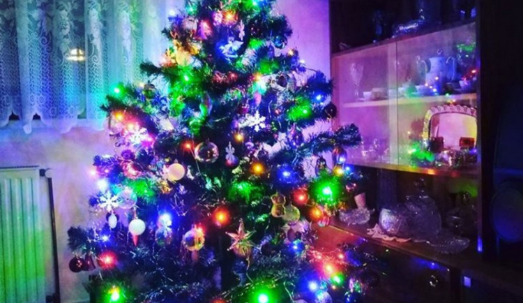 25552102_10204052858078847_924371499784043305_n