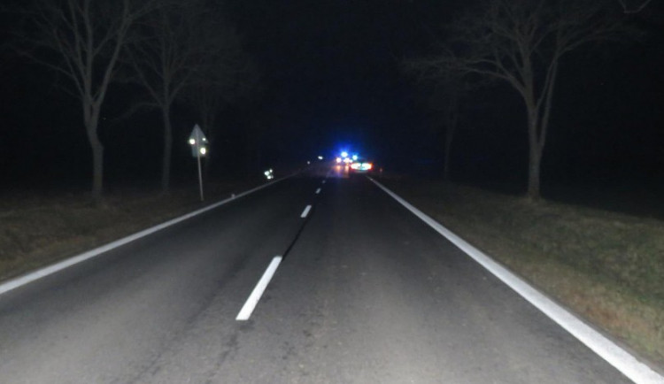 Ženu na silnici mezi Střelskými Hošticemi a Katovicemi zřejmě srazilo auto, na místě zemřela