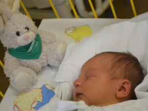 FOTO: Prvním letošním miminkem v kraji je Kryštof z Třebíčska. Přivítal ho hejtman