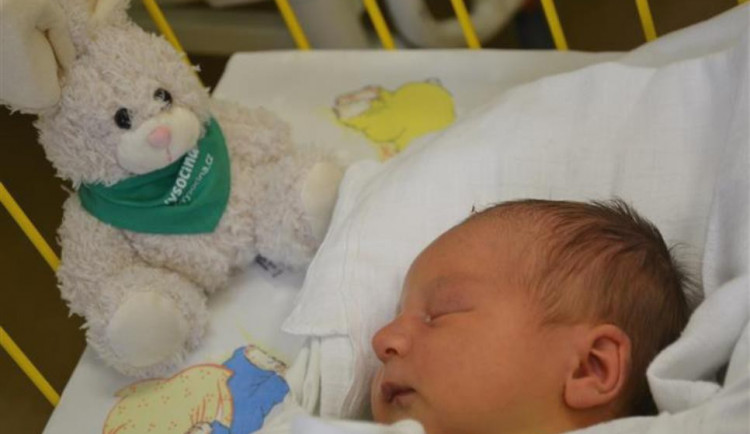 První letošní miminko Vysočiny Kryštof