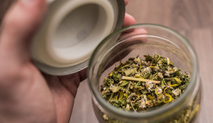 Nenechte chřipku, aby vás překvapila. Vyzrajte na ni