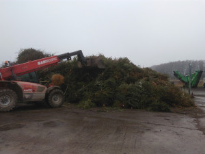 Letos se v Jihlavě vyvezlo skoro patnáct tun odstrojených stromků. Poslouží na štěpky