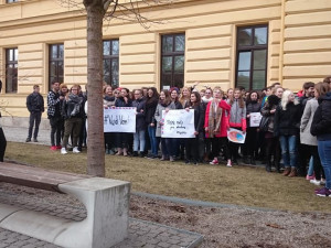 Studenti se na Vysočině připojili k výstražné stávce. Zúčastnili se i jihlavští gymnazisté