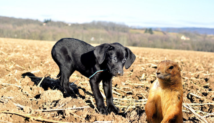 ZÁPESNÍK #3: První návštěva v zoo