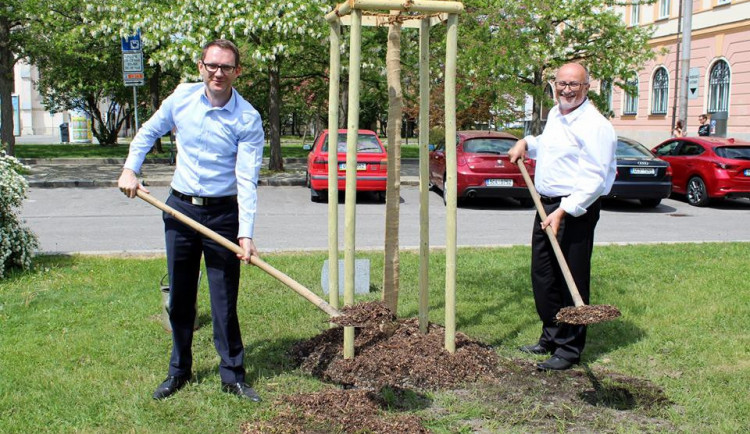 V Budějcích zasadili lípu jako připomínku stého výročí vzniku Československa