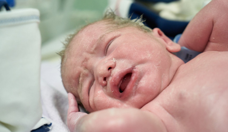 Do Jihlavy se vrací zdravotnická vyšší odborná škola. Studentům nabídne čtyři obory