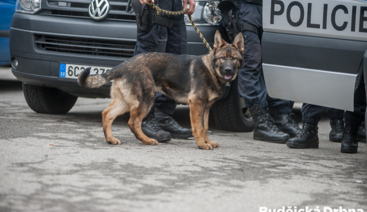 Policisté na Strakonicku vypátrali během několika hodin dva pohřešované