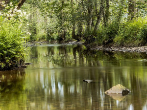 Na Vysočině řeší úbytek pitné vody i obce v lesnatých Žďárských vrších