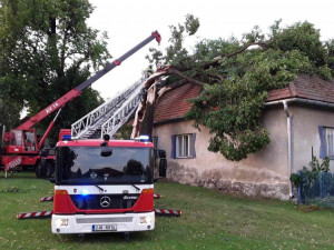 FOTO: Hasiči z Vysočiny odstraňovali popadané stromy. V Pikárci spadl strom na rodinný dům