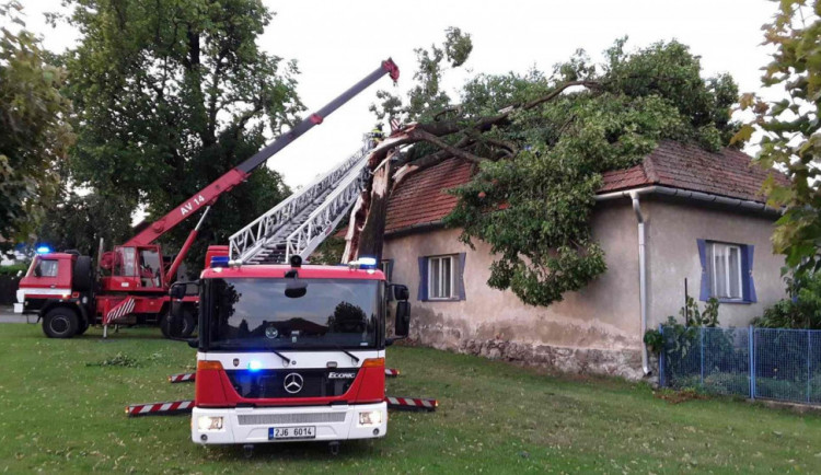Hasiči z Vysočiny odstraňovali popadané stromy. V Pikárci spadl strom na rodinný dům