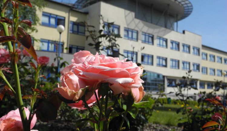 Novoměstská nemocnice bude mít dětské oddělení na jaře 2019. Buduje se v něm i herna