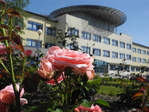 Novoměstská nemocnice bude mít dětské oddělení na jaře 2019. Buduje se v něm i herna