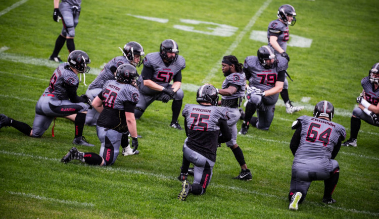 Vysočina Gladiators 