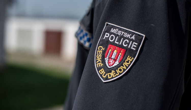 Za víkend řešili strážníci téměř dvacet případů rušení nočního klidu