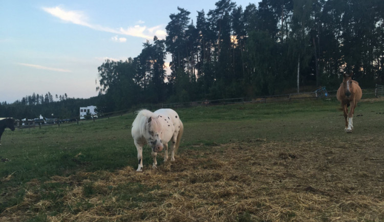 Facebook Westernové městečko Šiklův mlýn