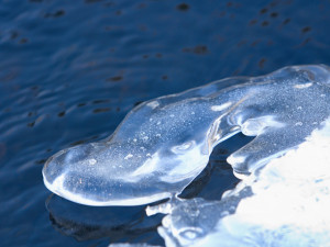 Rudolf Jedlička, Ledový pohled