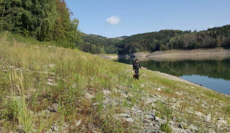 Policejní psovodi provádí kontroly u Vírské přehrady. Hlídají dodržování zákazu koupání