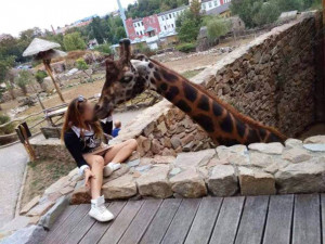 Uživatele Facebooku pobouřil snímek slečny v jihlavské zoo, která líbá žirafu a kouří. Návštěvnice tak porušila řadu zákazů