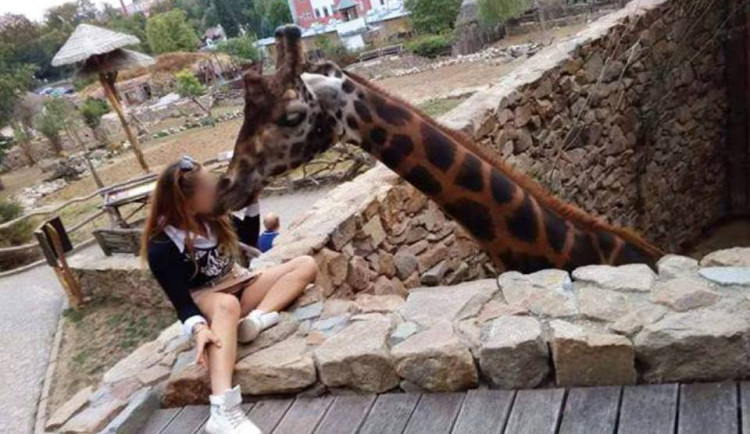 Snímek, který zveřejnila facebooková stránka Zoo Jihlava