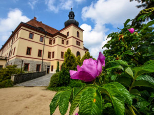 Síť elektrokol v jižních Čechách se rozrůstá
