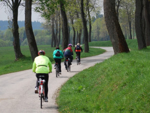 Síť elektrokol v jižních Čechách se rozrůstá
