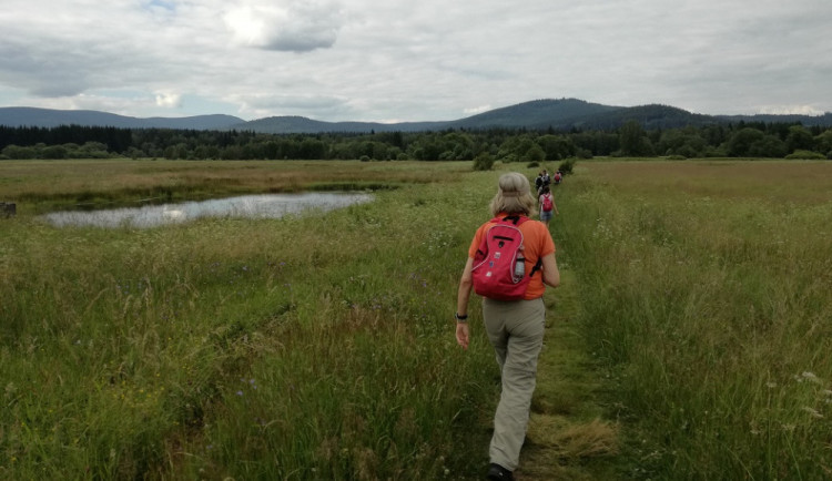 Celkem 631 kilometrů nově značených turistických tras mezi Bavorskem a jihozápadem Čech je připraveno pro návštěvníky jižních Čech a Plzeňského kraje.