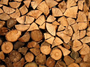 Objem dřeva s kůrovcem na Vysočině příští rok asi stoupne násobně